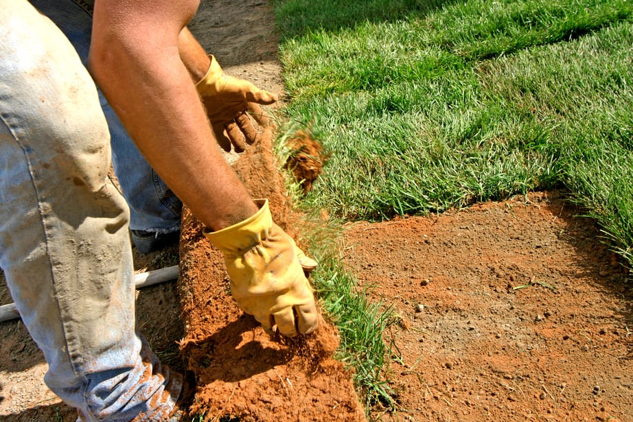 Landscaping - Laying Sod